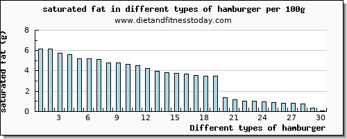 hamburger saturated fat per 100g